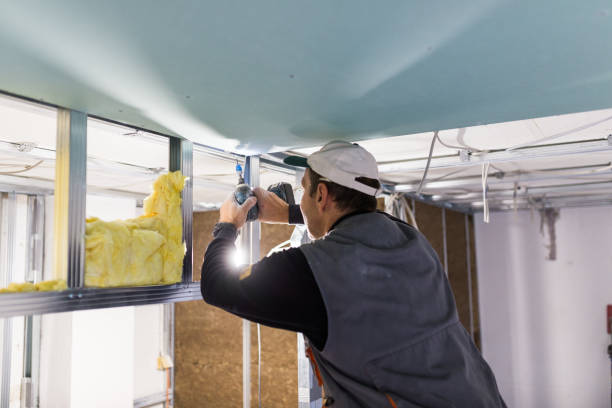 Best Home Insulation Services  in USA